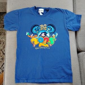 2005 Walt Disney World Mickey And Friends Tee, Disney Shirt, Blue
